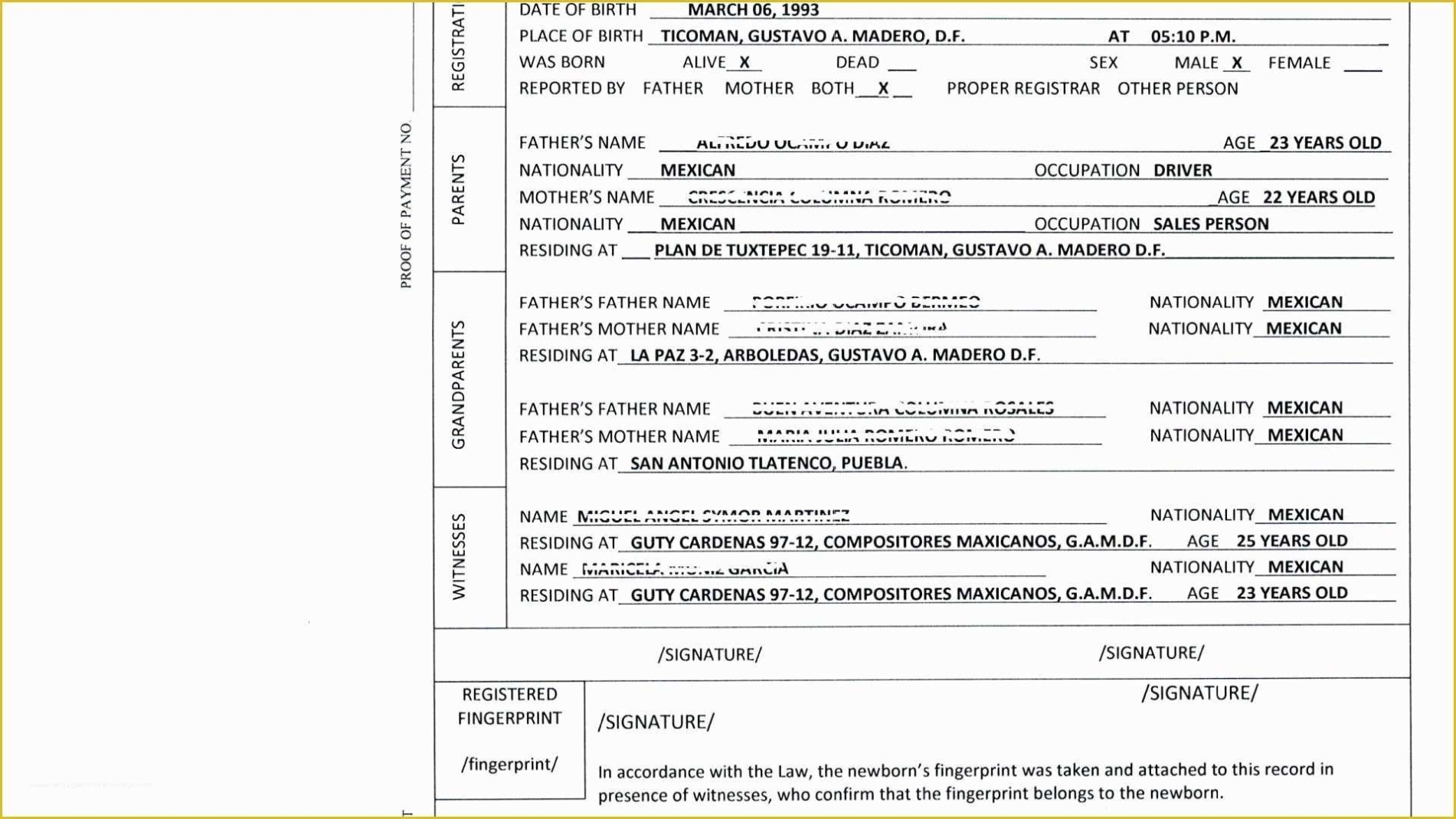 Free Death Certificate Translation Template Of Mexican Birth Within Baby Death Certificate Template