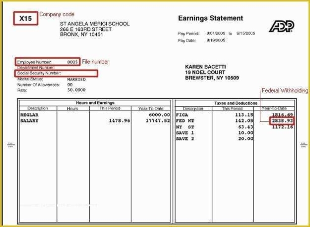Free Paystub Template Of Free Fillable Blank Pay Stubs Within Blank Pay Stub Template Word