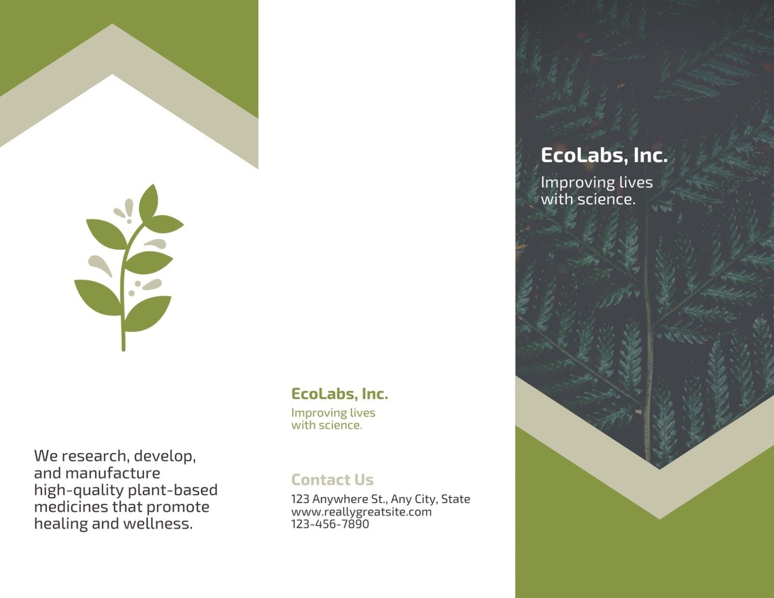 Green And White Plants Science Brochure - Templates By Canva Throughout Science Brochure Template Google Docs