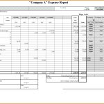 Monthly Expense Report Template — Db-Excel with Monthly Expense Report Template Excel